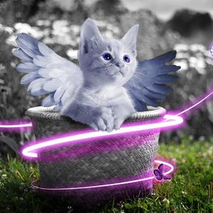 欧美熟妇后入式啪啪
